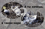 Экоплакат